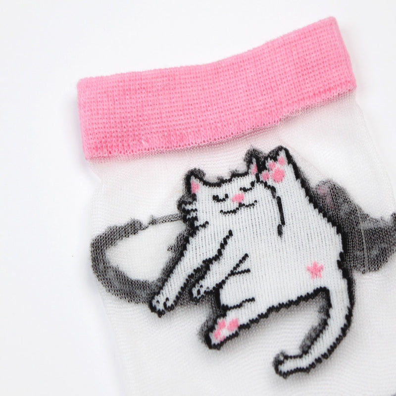 Calcetines transparentes - Gatos blancos 🐈⬛