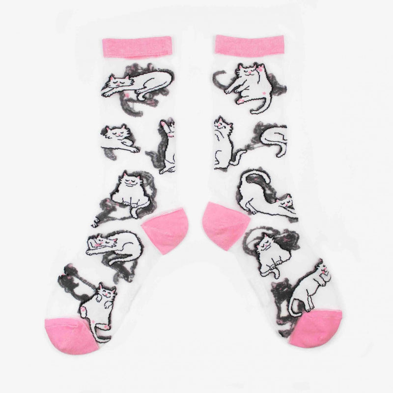 Calcetines transparentes - Gatos blancos 🐈⬛