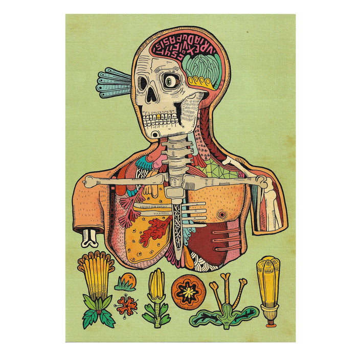 Print de Asís Percales A4 - "Hombre"