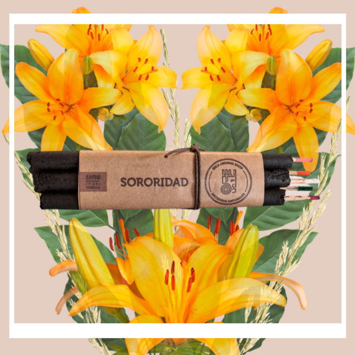 Incienso en barra - Pack de 5 "Sororidad"