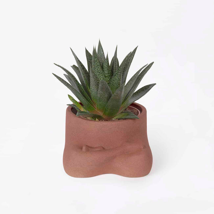 Macetero DOIY - Namaste