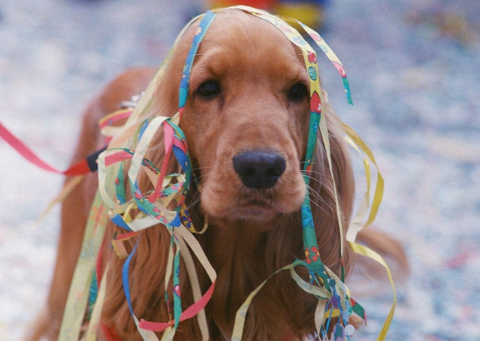 Película - Kodak Ultramax 400 36 Exp.