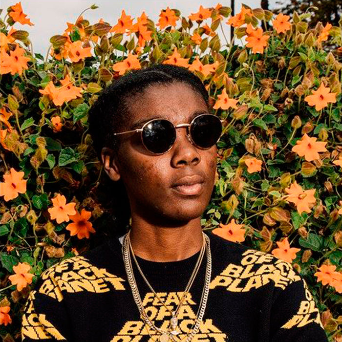 Gafas de sol - Liam Turtle Brown