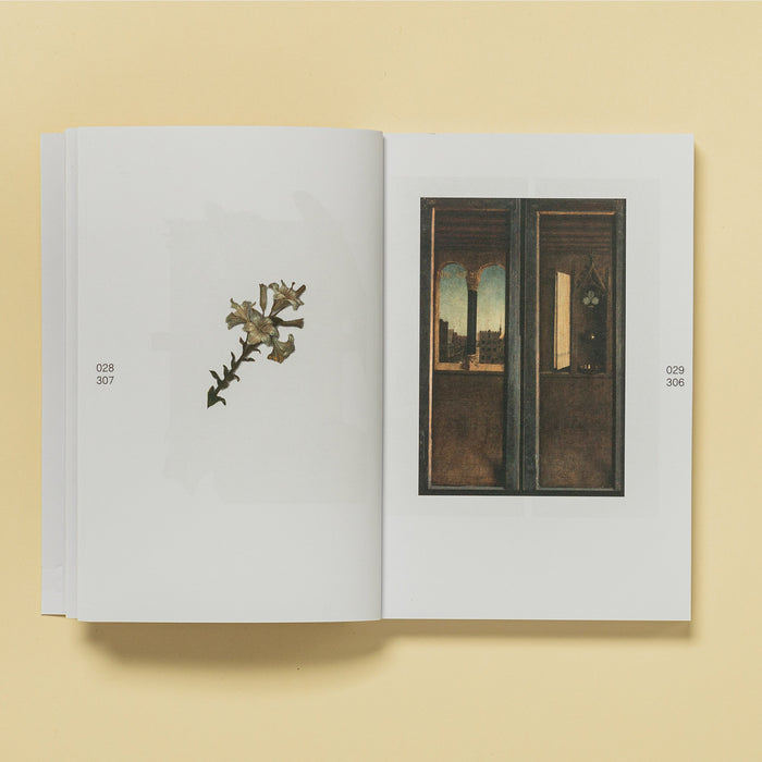 Libro - "LAM" de Carla Cànovas Pugmartí