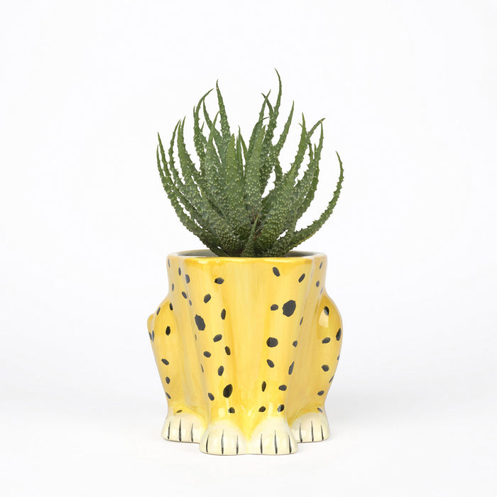 Macetero DOIY - Cheetah 🐆