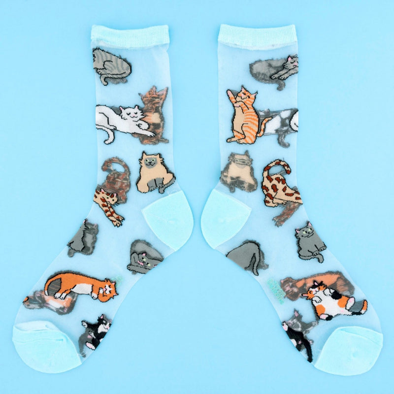 Calcetines transparentes - Meow