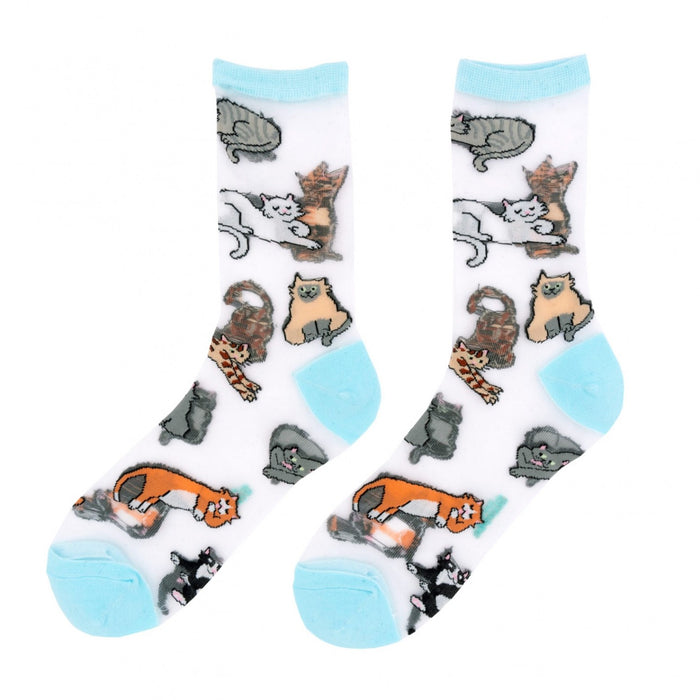Calcetines transparentes - Meow