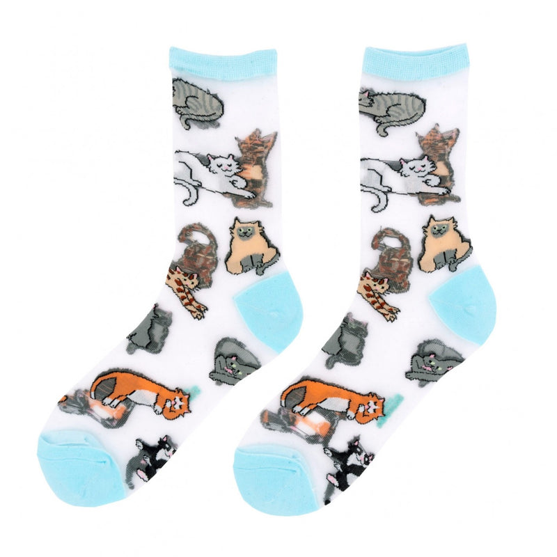 Calcetines transparentes - Meow