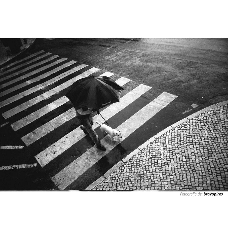 Fotografía en banco y negro tomada con la película Kodak Trix ISO 400 de un plano picado de un paso de cebra por el que pasa un hombre con paraguas y su perro
