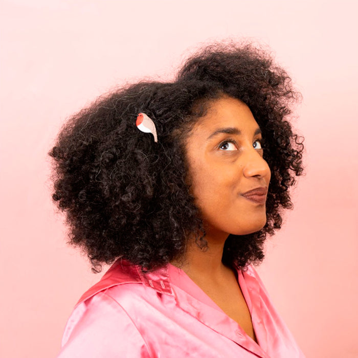 Pasador de pelo - Petirrojo 🐦