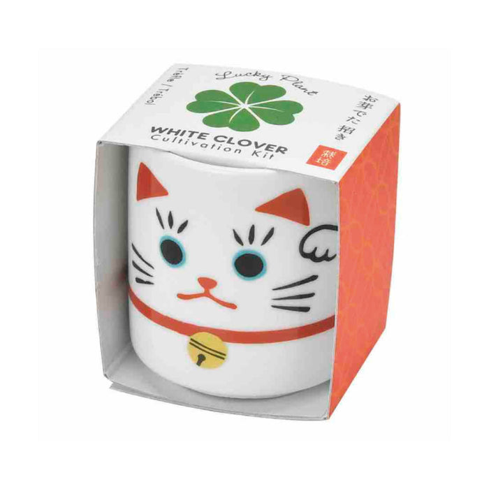 Planta de la suerte - Maneki Neko