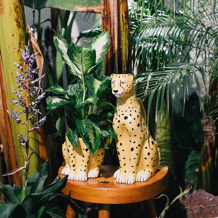 Macetero DOIY - Cheetah 🐆