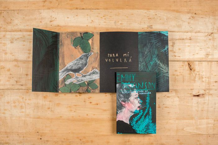 Libro - "Tengo un pájaro en la cabeza" de Emily Dickinson y Paula Bonet