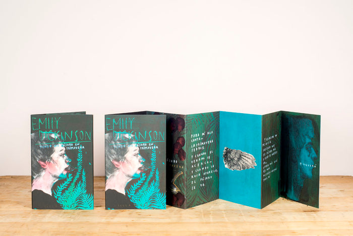 Libro - "Tengo un pájaro en la cabeza" de Emily Dickinson y Paula Bonet