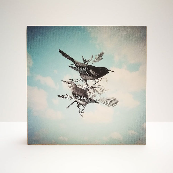 Caja de luz - "Vuela" de El Lucernario