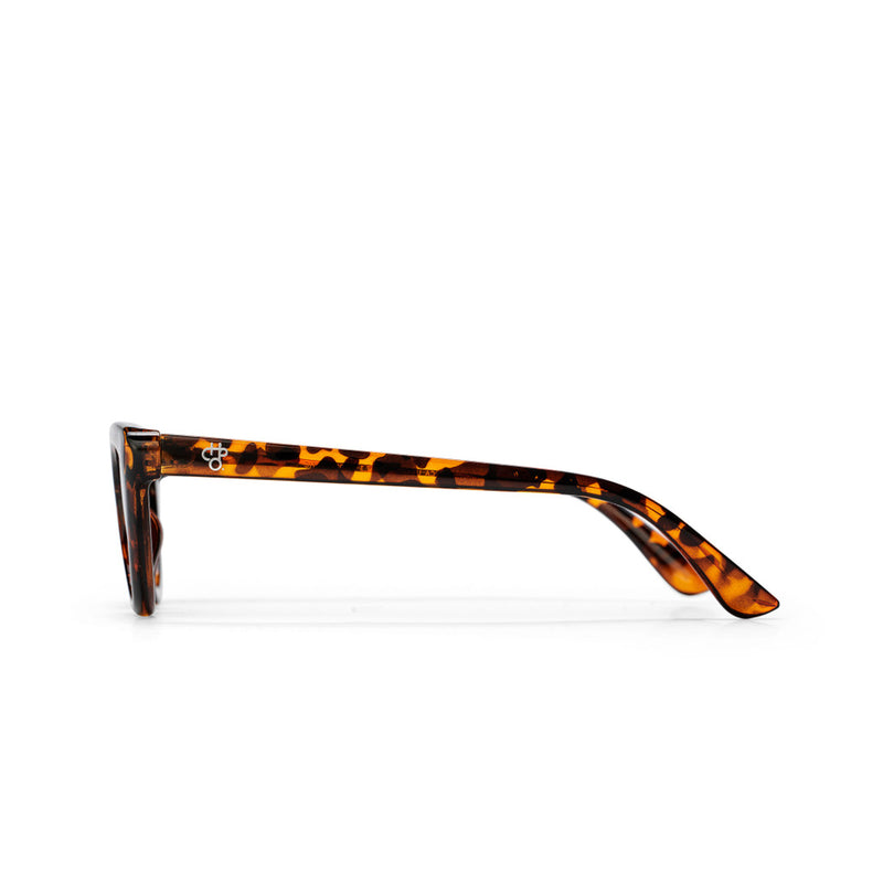Gafas de sol - Amy Turtle Brown