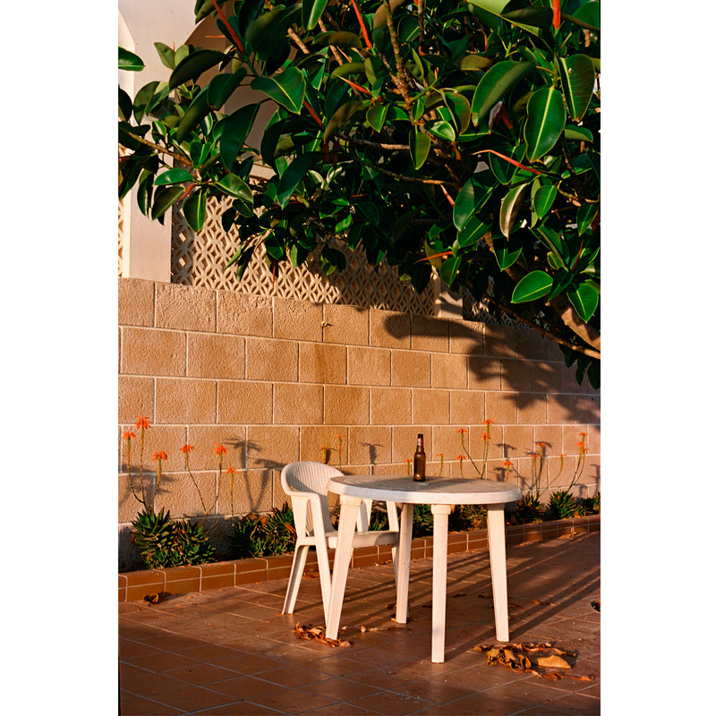 Película - 1Hundred 100 36 Exp.