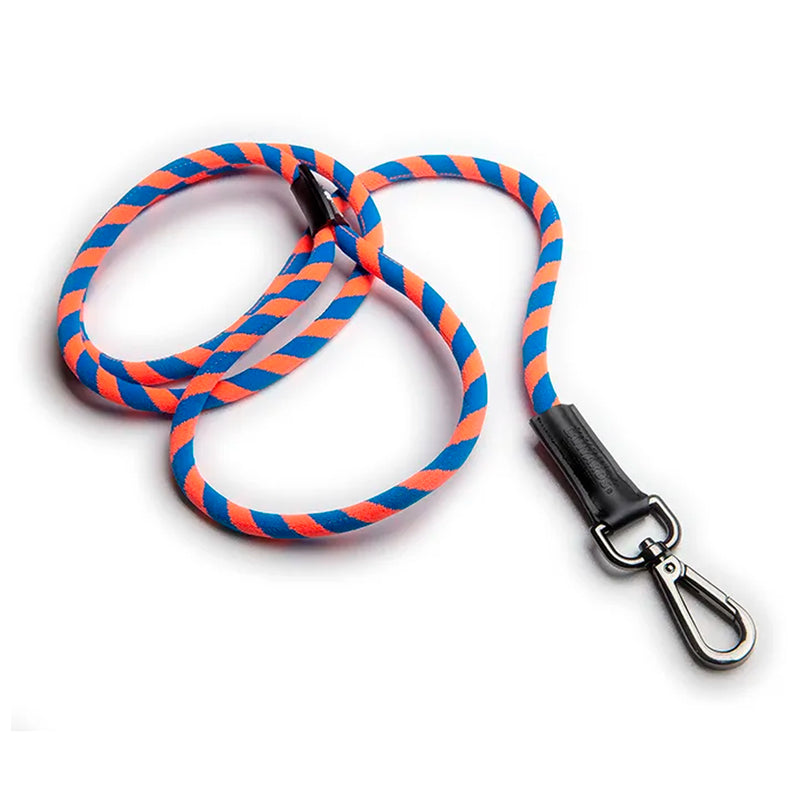 Correa para perros - Orange/Royal Blue