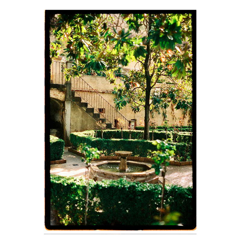 Película - 8Hundred 800 36 Exp.