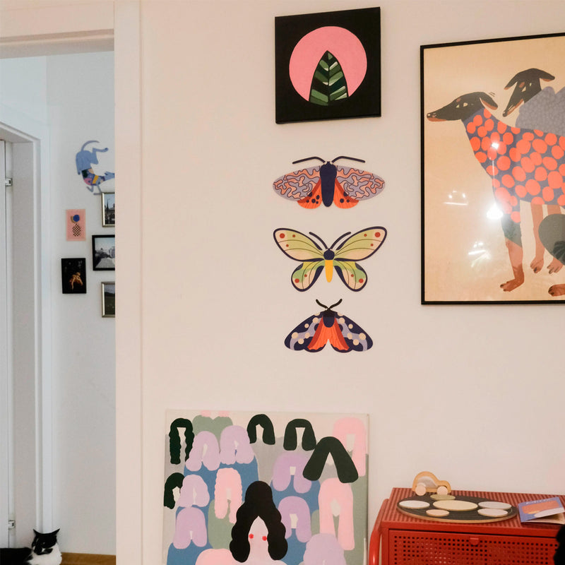 Decoración de pared - Polilla burnet