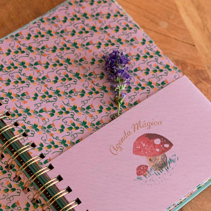 Agenda Anual Semanal 2026 - Aitor Saraiba