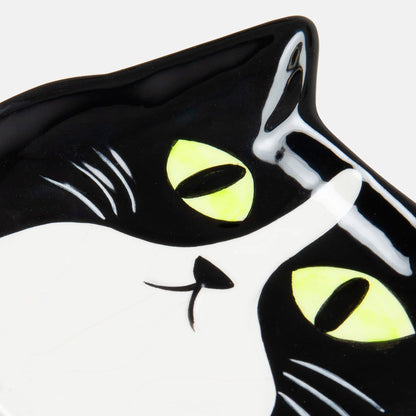 Alhajero DOIY - Cat 🐱