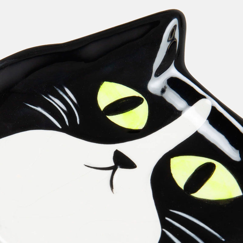 Alhajero DOIY - Cat 🐱