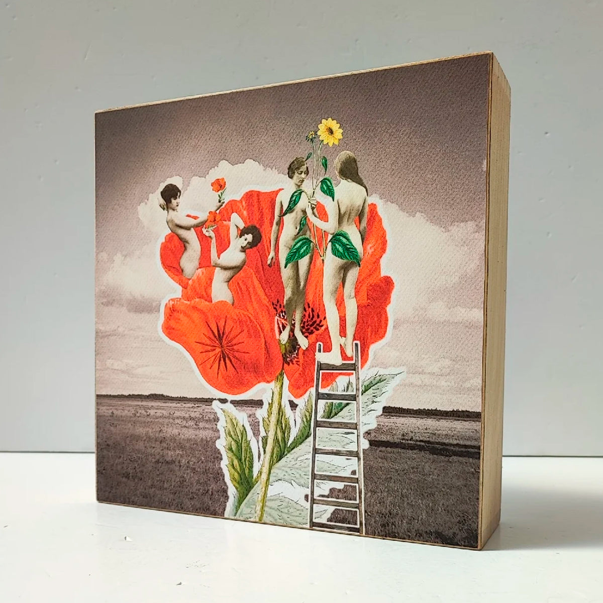 Caja de luz - "Amapola, espíritus silvestres" de El Lucernario
