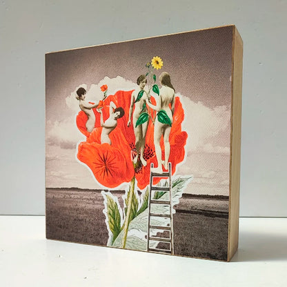 Caja de luz - "Amapola, espíritus silvestres" de El Lucernario
