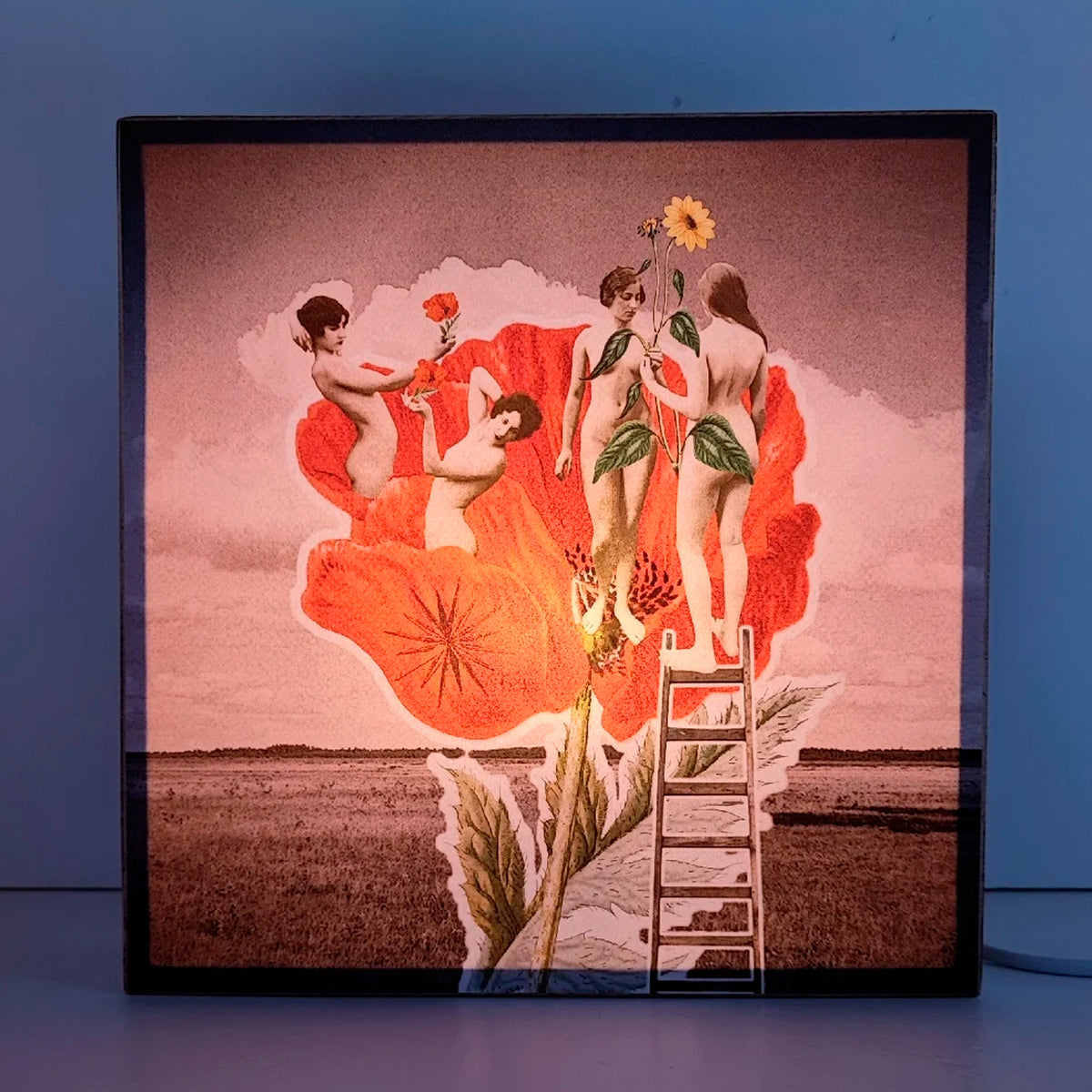 Caja de luz - "Amapola, espíritus silvestres" de El Lucernario