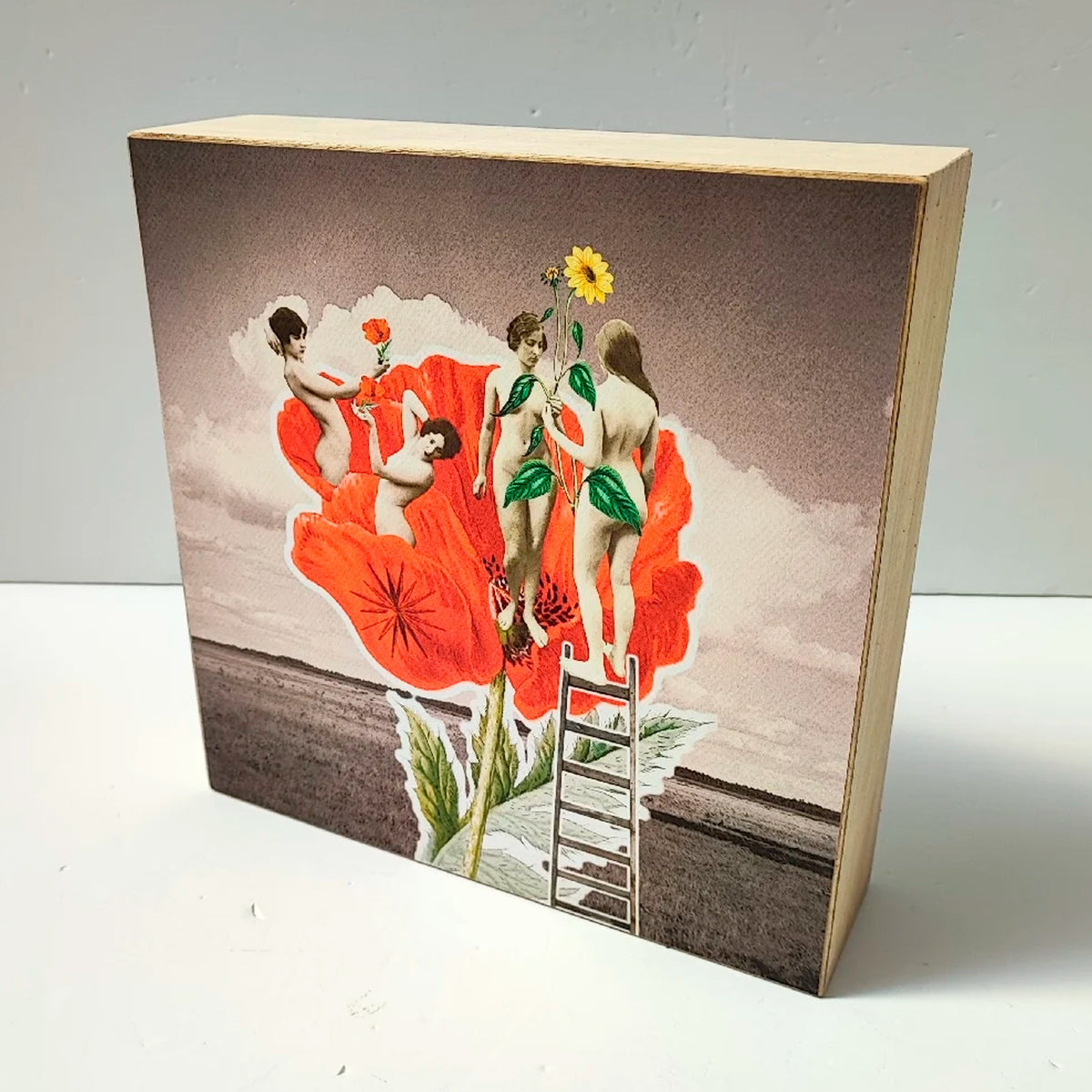 Caja de luz - "Amapola, espíritus silvestres" de El Lucernario