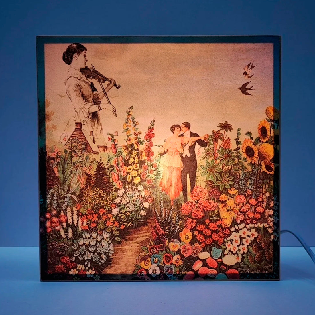 Caja de luz - "Amor botánico" de El Lucernario