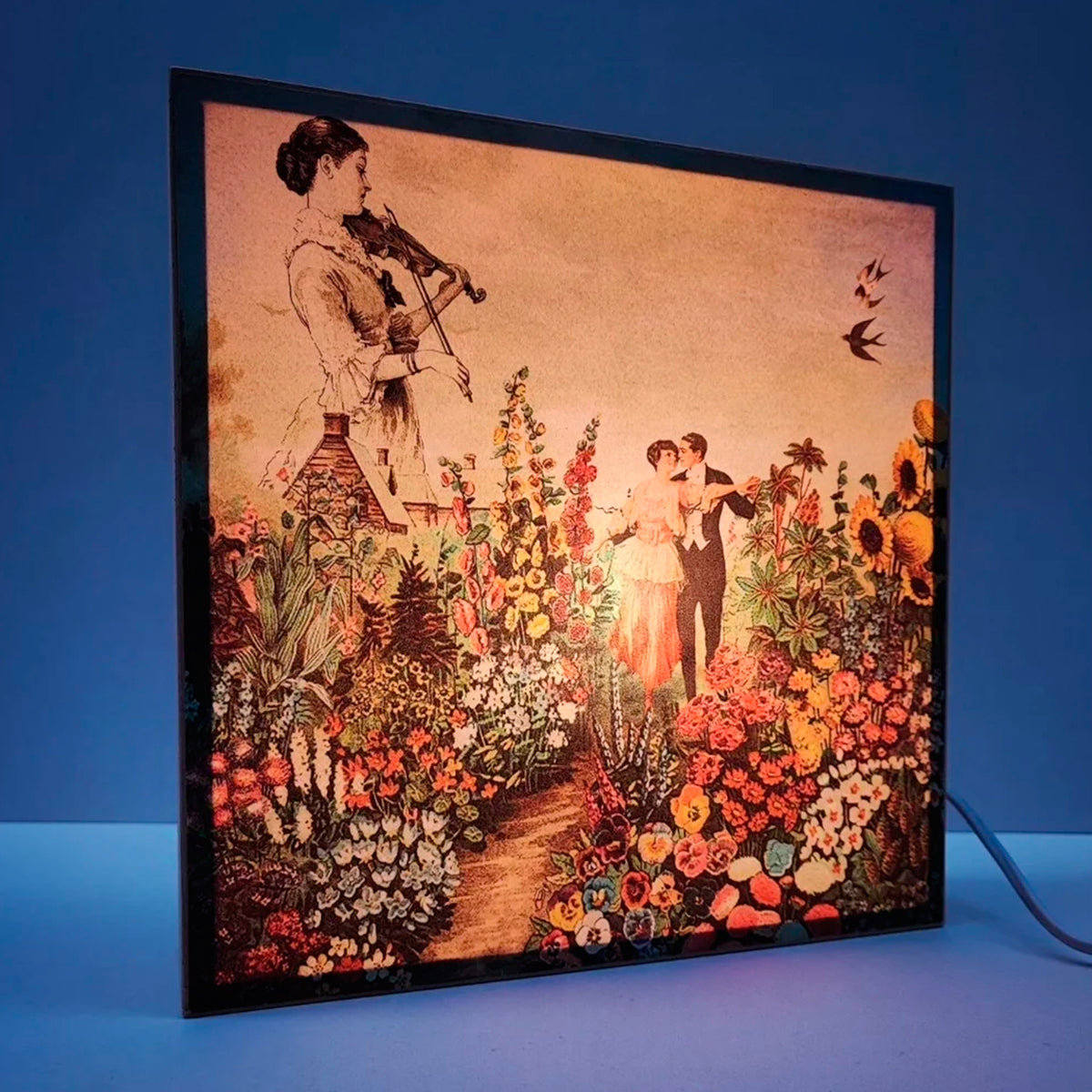Caja de luz - "Amor botánico" de El Lucernario