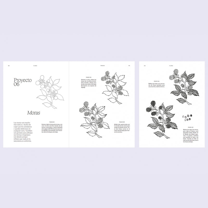 Libro - "Arte en 15 Minutos, Dibujo y Tinta" de Anna Tromop