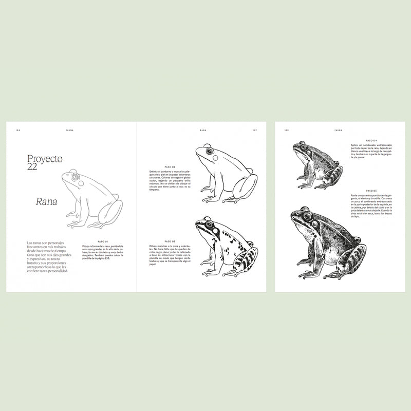 Libro - "Arte en 15 Minutos, Dibujo y Tinta" de Anna Tromop