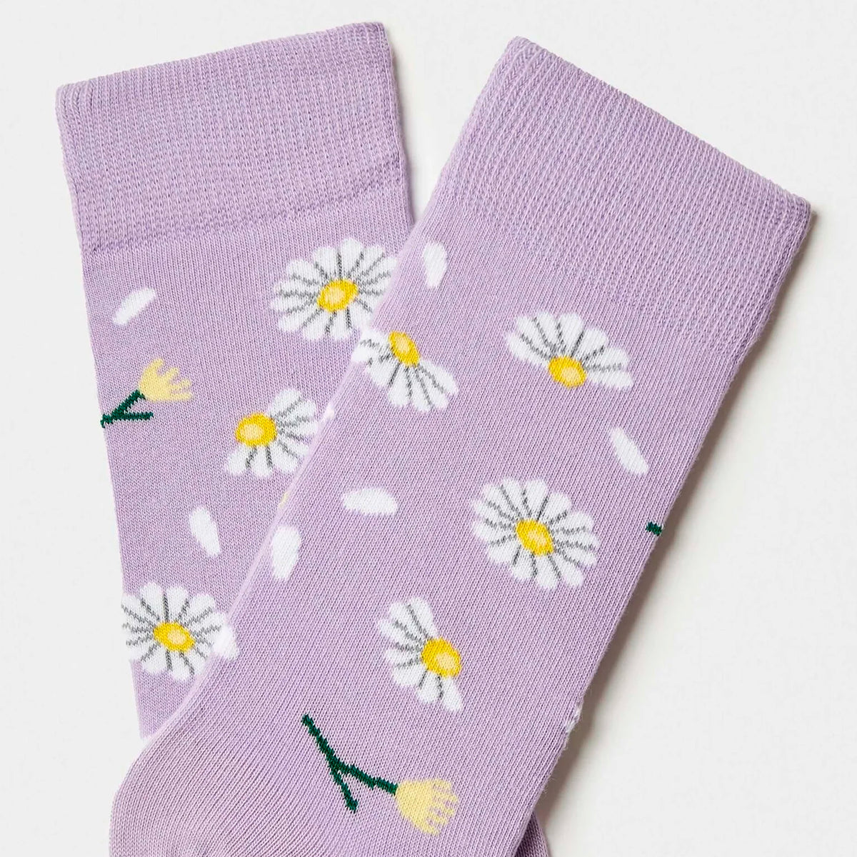 Calcetines Besocks - BeDaisy Purple 🌼