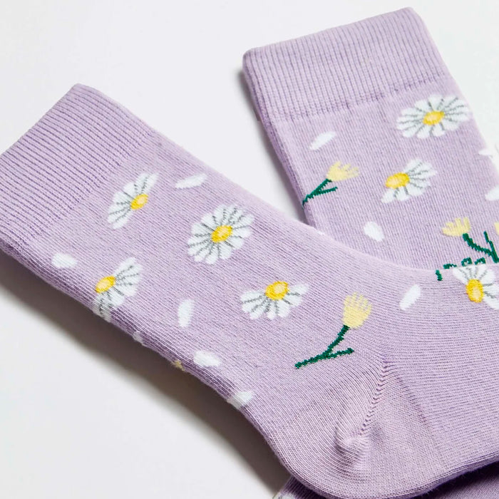 Calcetines Besocks - BeDaisy Purple 🌼