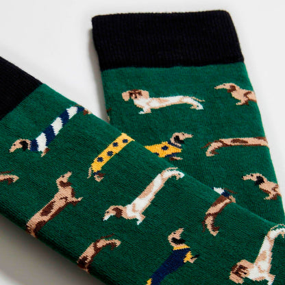 Calcetines Besocks - BePets Green 🐶🌭
