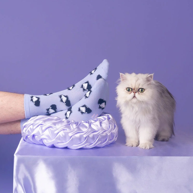 Calcetines - Gato Persa Blanco y Negro