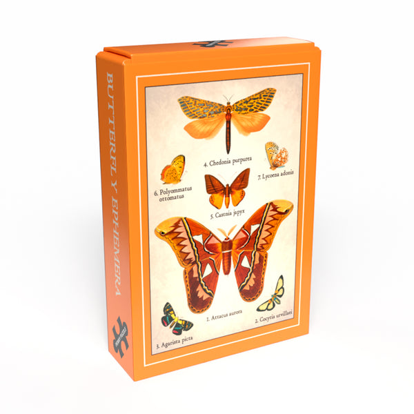 Puzzle Mini - Butterfly Ephemera 🦋