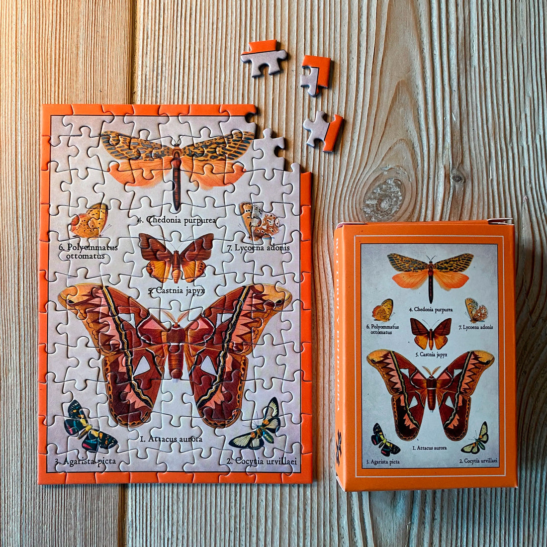 Puzzle Mini - Butterfly Ephemera 🦋