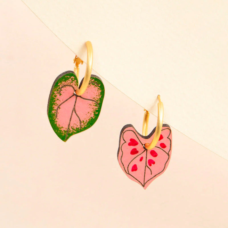 Pendientes de aro Materia Rica - Caladium