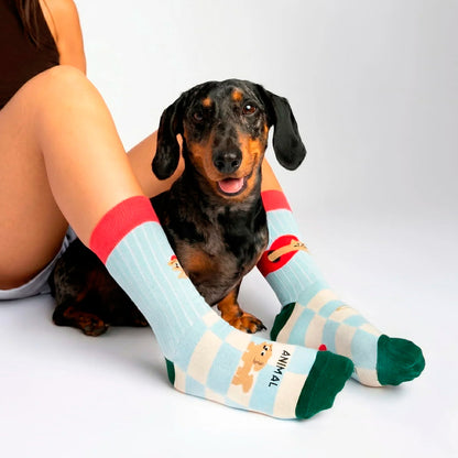 Calcetines UO - "Animal lover" 🐱💗🐶