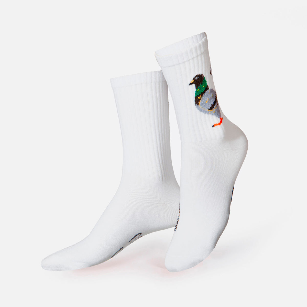 Calcetines Eat my socks - Pigeon 🐥