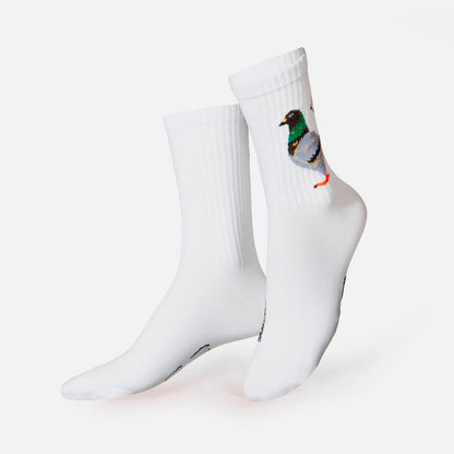 Calcetines Eat my socks - Pigeon 🐥