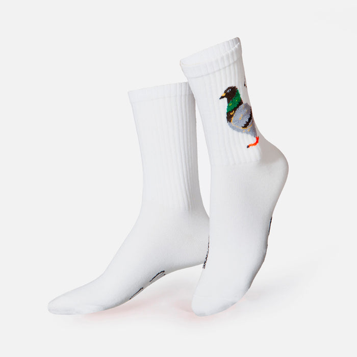 Calcetines Eat my socks - Pigeon 🐥