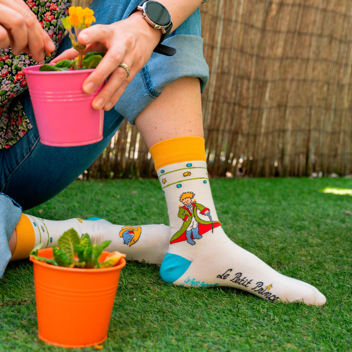 Calcetines - Le Petit Prince