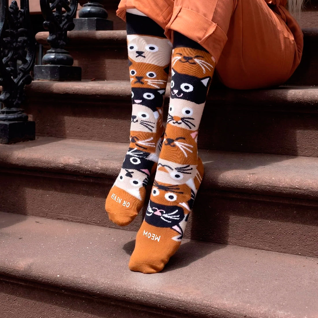 Calcetines UO - "Meow or never" 🐱