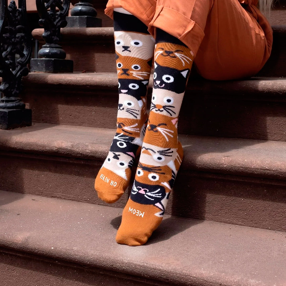 Calcetines UO - "Meow or never" 🐱
