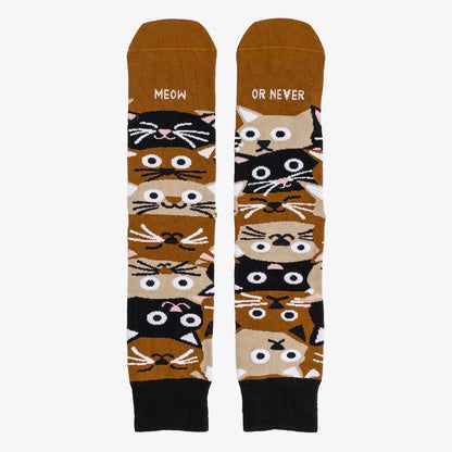 Calcetines UO - "Meow or never" 🐱